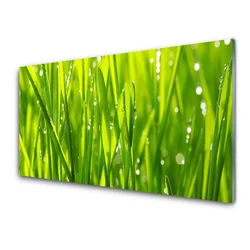 tulup.si Slika na akrilnem steklu Grass nature rastlin 125x50 cm 2 obešalnika