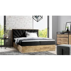 Boxspring postelja Wood 7 - 180x200 cm - hrast lancelot