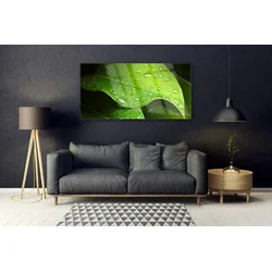 tulup.si Steklena slika Dew drops leaf 140x70 cm 2 obešalnika