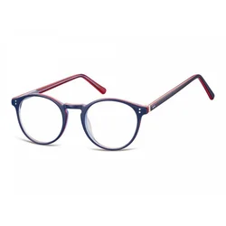 Berkeley Naočare AC43 F