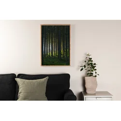 Venture Design Plakat Woods 50x70 cm Zelena