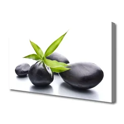 tulup.si Slika na platnu Stones art listi 140x70 cm