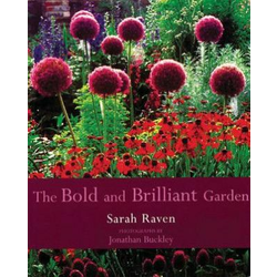 Bold and Brilliant Garden