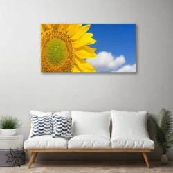 tulup.si Slika na platnu Sončnična heaven oblaki 100x50 cm