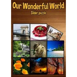 Our Wonderful World Steam Key GLOBAL