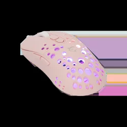 WS GM 9004 TRISTAN-2 Mouse Pink