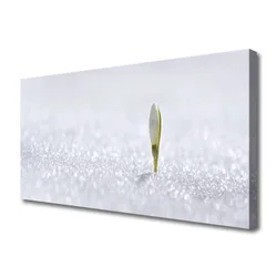 tulup.si Slika na platnu Snowdrop sneg winter 120x60 cm