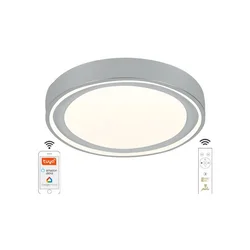 LED prigušiva plafonska lampa LED/48W/230V 2700-6500K Wi-Fi Tuya + daljinski upravljač