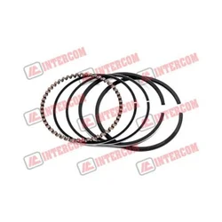 Guini parts Karike aspera tecumseh geo55 71 mm standard ( 12377 )