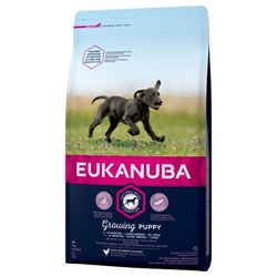 Eukanuba hrana za pse Growing Puppy Large, 12 kg