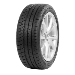 Davanti Wintoura+ ( 295/35 R21 107V XL )