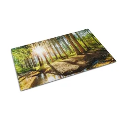 tulup.si Predpražnik Krajinski gozd 90x60 cm