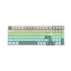 RK Tastatura, Šarena