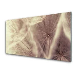 tulup.si Slika na akrilnem steklu Dandelion rastlin 125x50 cm 2 obešalnika