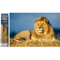 Norimpex Diamantna slika Lev majesty 30x40cm