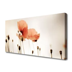 tulup.si Slika na platnu Rastlinskih mak naravi 120x60 cm