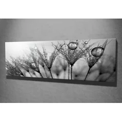 Wallity Slika na platnu 30x80cm