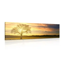 Slika samotno drevo - 150x50