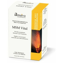 MSM Vital mjesečni tretman - 60 Kapsule