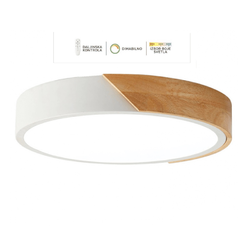 LED plafonska lampa F2811-30C WH