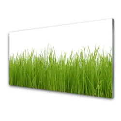 tulup.si Steklena slika Grass nature rastlin 140x70 cm 2 obešalnika