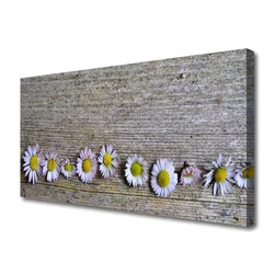 tulup.si Slika na platnu Daisy rastlin narava 100x50 cm