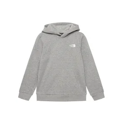The North Face Jopa Teen Evolution Simple Dome NF0A8CV6 Siva Regular Fit