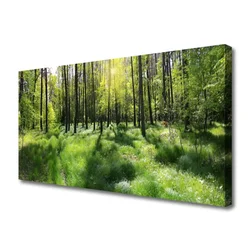 tulup.si Slika na platnu Forest grass nature rastlin 125x50 cm