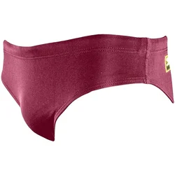 Boys swimsuit finis youth brief solid cabernet 26