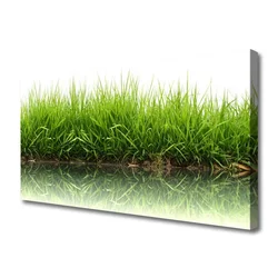 tulup.si Slika na platnu Grass nature rastlin 125x50 cm
