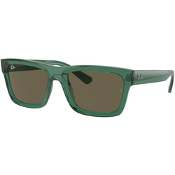 Ray-Ban Warren Naočare za sunce RB 0RB4396 6681/3