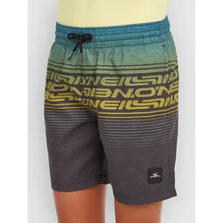 ONeill Logo Stripe Kids kopalne hlače boys blue heritage oneill
