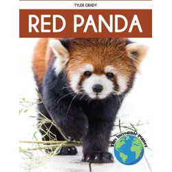 Red Panda
