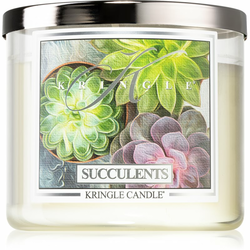 Kringle Candle Succulents mirisna svijeća I. 397 g
