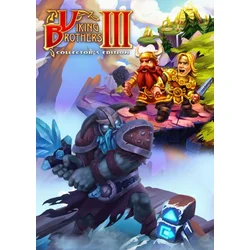 Viking Brothers 3 (Collectors Edition) Steam Key GLOBAL