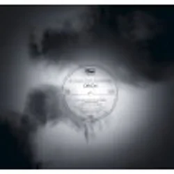 Sons & Daughters - Orion Remixes (LP)