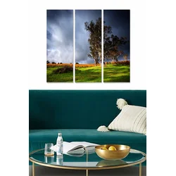 Set slika Wallity MDF79249192, 3 dijela