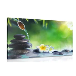 Slika harmonija v Zen vrtičku - 40x30
