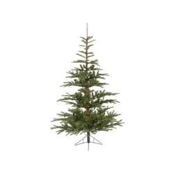 Nobilis Everlands fir 240cm 68.9203