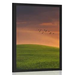 Plakat drevo na travniku - 60x90 no frame
