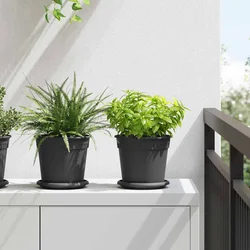 Kružni Pladanj za Cvijeće 24 pcs Crna O 15,5 x 2 cm Plastika