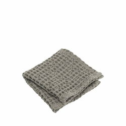 Blomus Komplet brisač 2 kos 30x30 cm CARO Satellite