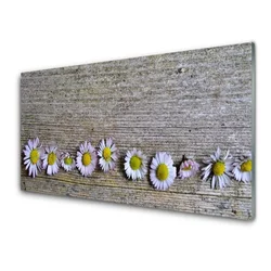 tulup.si Slika na steklu Daisy rastlin narava 100x50 cm 2 obešalnika