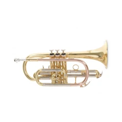 Korneta Roy Benson Bb CR-202 RB701.090