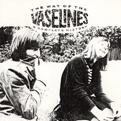 The Vaselines - The Way Of The Vaselines - A Complete History (Reissue) (2 LP)