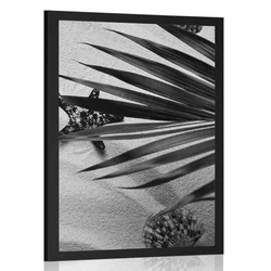 Plakat školjke pod palmovimi listi v črnobeli varianti - 20x30 white