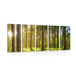 5-delna slika jutro v gozdu - 150x75