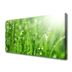 tulup.si Slika na platnu Narava grass drops 120x60 cm
