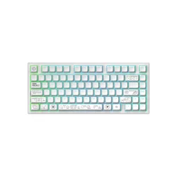 DARK PROJECT ALU Terra Nova R2 White - Wireless Gaming Keyboard (ANSI)
