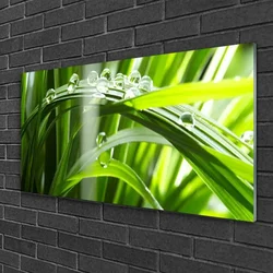 tulup.si Slika na steklu Rastlin trava dew drops 125x50 cm 2 obešalnika